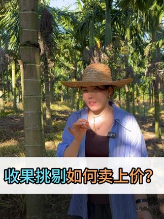 膨好果,选对肥,少走弯路! #槟榔肥料 #农业种植 #肥料新知识