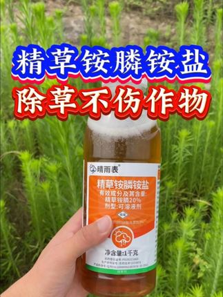 20%精草铵膦铵盐除草剂桶装精草铵磷果园强力杂草除草烂根剂正 #农业种植#三农#除草剂#农资肥料#精草铵膦铵盐