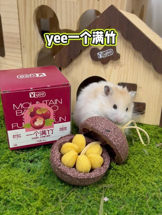 养鼠家庭的多功能小能手来啦#磨牙棒 #仓鼠好物 #养鼠日常分享 #鼠鼠教 #科学养宠攻略