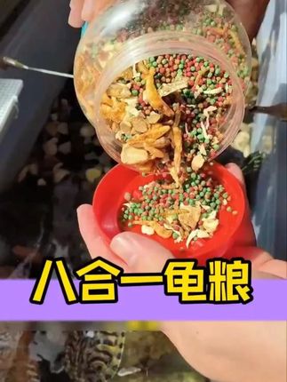#乌龟喂食 #乌龟饲料 #乌龟养殖 #龟宠时代 #超便宜超划算