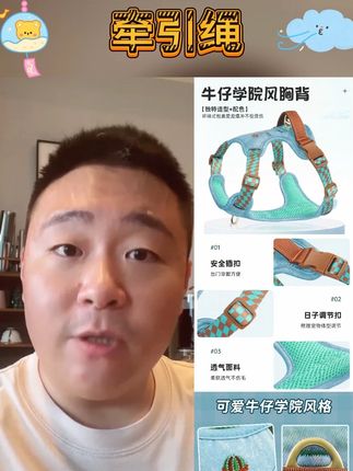 【旅行家】598狗狗牵引绳背心式宠物背带小中大型犬专用外出#牵引绳 #牵引绳推荐 #好物 #牵引绳分享 #狗狗牵引绳