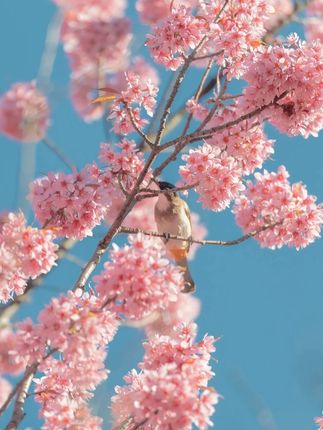 旧衣服不要扔,卡在拖把上还能接着用。 #免手洗拖把  #居家好物  #洗脸巾拖把  #懒人必备