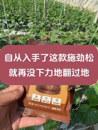 用了这款施劲松,再也不为土壤板结,天天翻地而发愁了 ! #农业种植 #种植小技巧 #肥料 #三农 #土壤改良
