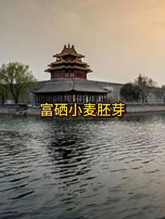 这个无蔗糖的小麦胚芽,营养又健康,你们不要买贵了#早餐#抖音美好丰收节 #男士神仙单品 #在抖音入手的好东西 #无限回购的宝藏单品