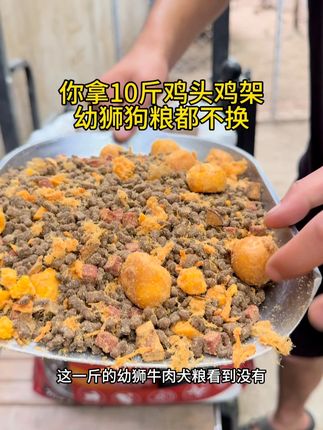 高性价比好狗粮#狗粮推荐 #源头工厂