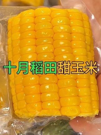一口爆汁的#水果玉米脆甜脆甜的还是#十月稻田 家的#好吃到停不下来 #玉米 #十月稻田甜玉米