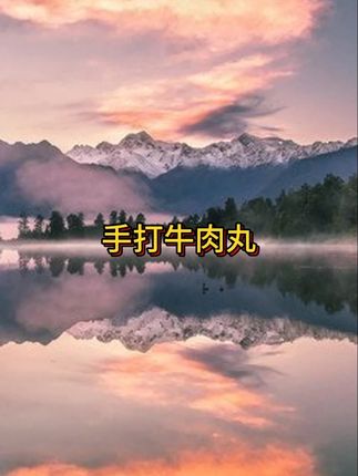 【到手6包】发6袋潮汕手打牛肉丸250g袋Q弹紧实鲜嫩多汁7.3