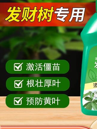 发财树专用营养液花肥料,治烂根黄叶掉叶室内水培花卉绿植花肥通用 #发财树营养液#绿植营养液 #养花万能肥料推荐 #绿植肥料 #爱生活爱养花 #发财树专用营养液花肥料治 #花卉养护 #发财树营养液 #发财树烂根