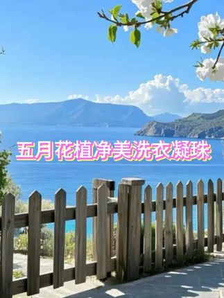 #五月花 新出的洗衣凝珠太好用了,集洁净、去污、柔顺、留香、护色为一体,一颗就能搞定#洗护好物 #洗衣凝珠 #家清好物 #洗衣服就靠它了