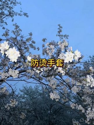 加厚结实耐用的防烫微波炉烤箱硅胶手套,隔热防滑又耐磨,热爱烹饪烘焙的你,更要保护好双手 #厨房用品 #今天自己在家做烘焙 #防烫手套