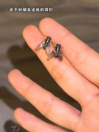 好朋友送我的我的新耳钉,好抽象啊啊啊!#苍蝇耳钉 #抽象 #猎奇 #耳钉 #玩个很新的东西