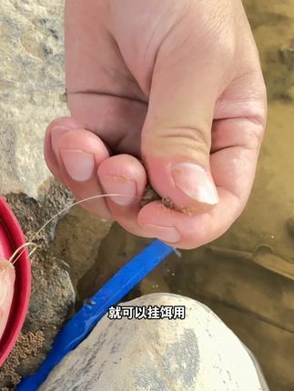免排气泡泡球:黑坑新手好选择 大师十年研发,针对黑坑养殖鱼。不用排气、不加状态粉,自带黏性,甩大鞭稳性佳。开饵超简单,新手轻松驾驭。#黑坑 #钓鱼 #免排气泡泡球 #一包搞定