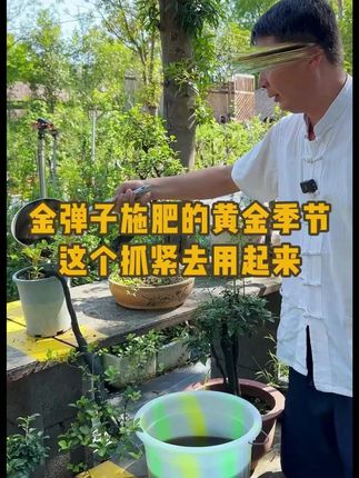 【动力肥】丰亩家水溶肥魔能动力矿源黄腐酸钾有机碳微生物菌剂肥料#金弹子 #盆景 #施肥 #种植小技巧 #园艺生活