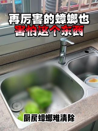 再厉害的蟑螂也害怕这个东西 #汼楯呋虫胺 #蟑螂克星 #蟑螂怎么消灭 #蟑螂药 #呋虫胺
