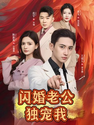 闪婚老公独宠我全集孟子皓傅潇冉-阿夹克斯