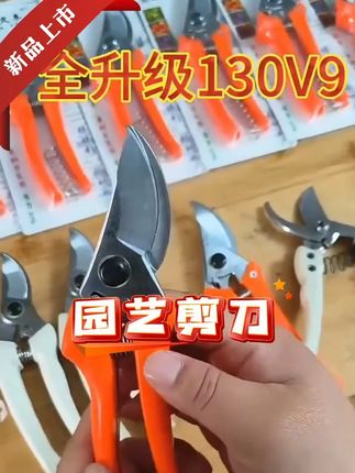 修枝剪SK5钢修枝剪大口径园林树枝剪果树修枝剪子不锈钢修枝剪刀 #好物推荐🔥 #修枝剪刀 #剪刀 #园艺剪刀 #实用好物