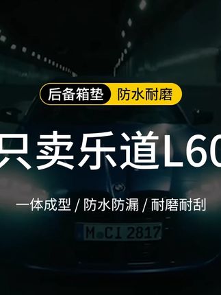 乐道l60汽车脚垫 #乐道l60汽车脚垫 #乐道l60脚垫 #乐道l60 #乐道