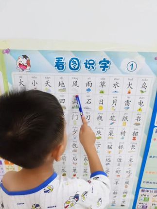 幼小衔接看图识字挂图儿童宝宝认字墙贴幼儿园大班汉字表学习神器