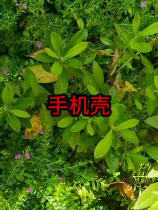#手机壳 #好物分享 #好物推荐