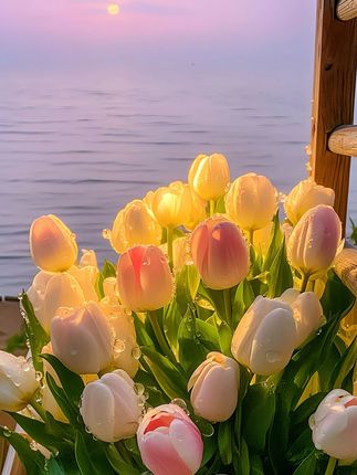 这个清洁剂针对浴室的玻璃、浴缸、洗手盆 、马桶都特别好用#草酸清洁剂#清洁#好物推荐🔥#居家好物