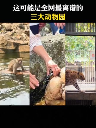 这可能是全网最离谱的三大动物园。