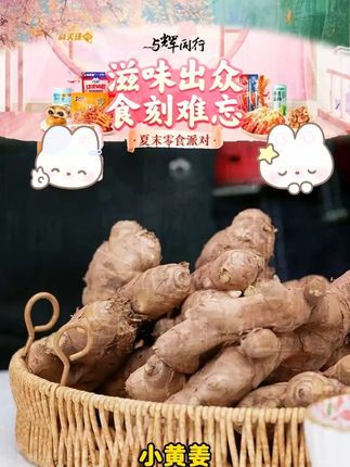 云南小黄姜山地种植【老姜】香味浓郁辛辣够味产地直销新鲜姜 #小黄姜 #老姜 #辛辣 #蔬菜 #好物推荐