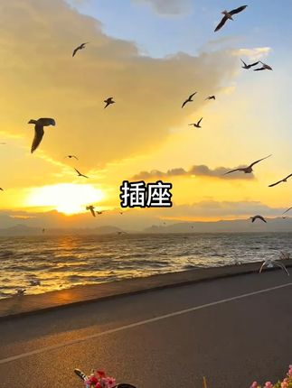 家里插座不够用的,可以备几个这种插座转换器,独立开关用着方便安全,再也不用来回拔插头那么麻烦了