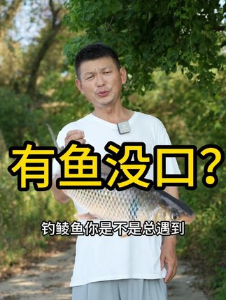 有鱼没口怎么办? #钓鱼人就是这么疯狂 #爱生活爱钓鱼 #户外 #钓鱼人 #黑鸭子猛料