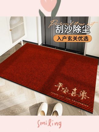 地垫门垫入户门防滑垫脚垫家用裁剪除尘门厅新家门口地垫2025新款#入户门地垫 #防滑除尘 #可裁剪地垫 #2025新款 #家门口装饰