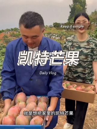 攀枝花的凯特芒果成熟了#凯特芒果 #产地直达 #新鲜水果