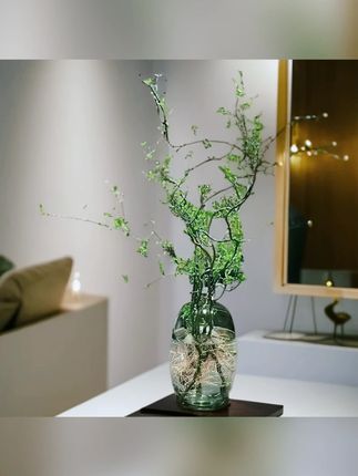精品绿植水培鲜枝龙柳花瓶室内客厅落地易活四季高端阳台植物装饰 水培#绿植 #水培植物 #水培绿植
