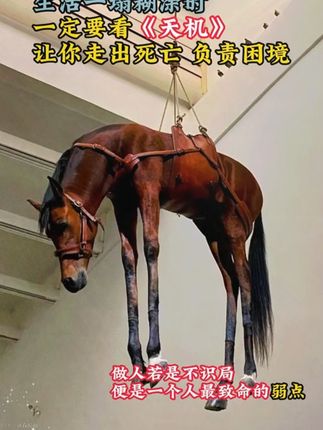 一旦看过《天机》,你的人生就像开了上帝视角#认知#智慧人生#提升自己#谋略