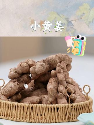 正宗云南小黄姜香味浓郁辛辣够味现挖山地种植生姜产地直销新鲜#小黄姜 #黄姜 #云南小黄姜 #生姜