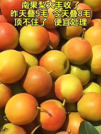 #南果梨 #新鲜应季水果 #口感特别好
