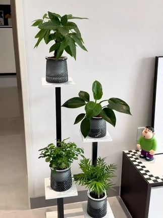 客厅花架子落地式室内家用阳台置物架多层铁艺绿萝植物摆放花盆架 #花架 #可移动花架 #花盆架 #花架置物架 #客厅花架子