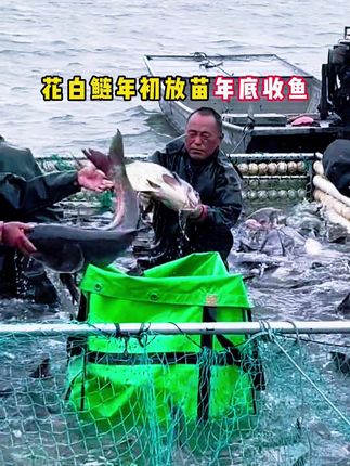 #水产养殖#水产人#水产养殖技术