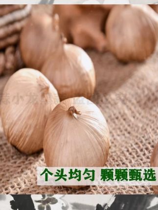 排骨汤 #美 食#闽南家常菜 #真才实材才能做出来好味道 #闽南美食推荐官