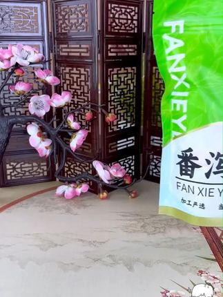 番泻叶茶独立三角包方便携带煮热水冲泡男女花茶包养生茶#茶叶 #花茶包 #茶包 #养生茶 #冲泡茶