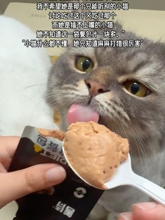 不想只有我的小猫没吃过 #猫咪 #猫咪治愈世界 #宠物零食 #猫饭