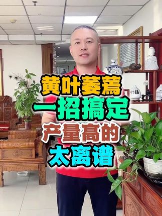 黄叶萎蔫,一招搞定,产量高的,太离谱#三农 #源头工厂 #肥料