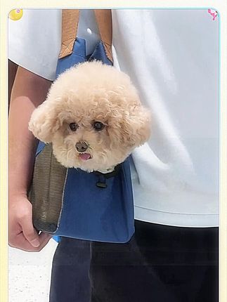 人,下班了吗?我今天又去逛商场了! #萌宠 #我和我的狗 #带小狗出去玩 #宠物外出包包 #泰迪