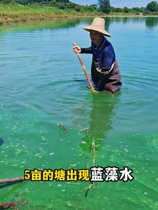 #水产 #水产养殖 #四大家鱼养殖 #鱼虾蟹养殖