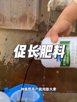 地下茎块膨大通用,花生,大蒜,生姜,土豆,红薯等-增产促进生 #地下茎块膨大 #肥料 #肥料推荐 #优质种苗 #抖音助农