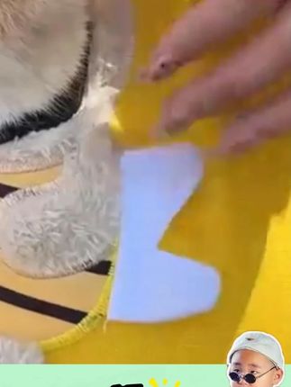 #猫包 宠物外出包批发猫包斜挎手提猫咪袋子小型犬露头狗狗单肩包狗用品#宠物外出包 #猫包推荐 #狗包 #宠物包