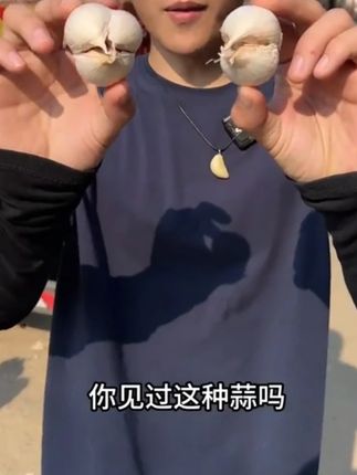 生吃辣的很,炒菜特别香~ 吃蒜用蒜多的一定要来尝试一下#优质农产品 #两三瓣大蒜