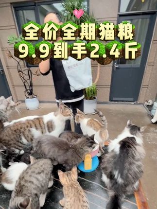 多猫家庭不知道如何挑选猫粮都可以试试这款9.9到手2.4斤的 #猫粮 #猫粮推荐 #超便宜超划算 #无线回购的宝藏单品 #萌宠出道计划