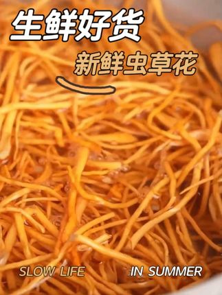 趁现在做活动!真的可以多囤点! 深山虫草花,炒菜炖汤,凉拌都超级美味,关键还营养丰富,趁活动划算,赶紧带回去尝尝吧#高山虫草花 #好虫草鲜着吃 #虫草花