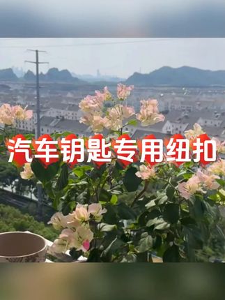 南孚传应cr2032汽车钥匙专用纽扣电池奔驰大众奥迪日产#纽扣电池 #电池 #南孚电池 #南孚 #汽车好物