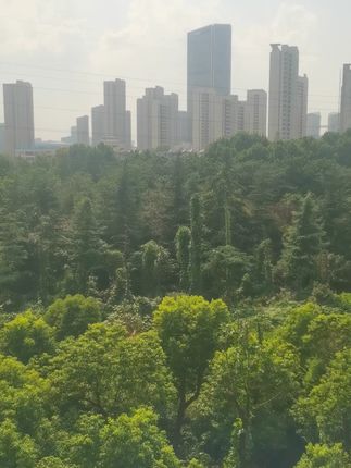 朋友们,有口气问题的一定要试一试#口臭 #夫妻日常