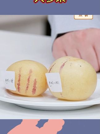 云南新鲜人参果3斤5斤圆果黄果当季水果甜蜜多汁产地直发TY #新鲜人参果 #人参果 #水果 #新鲜应季水果 #现摘现发